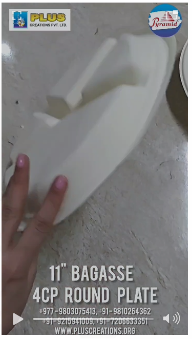 BAGASSE PLATES & BOWLS