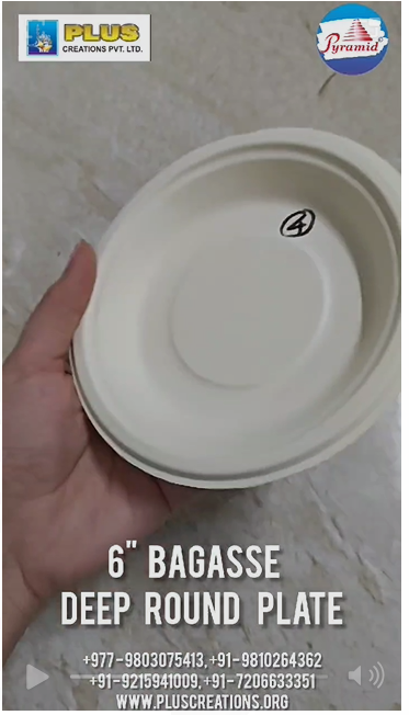 BAGASSE PLATES & BOWLS