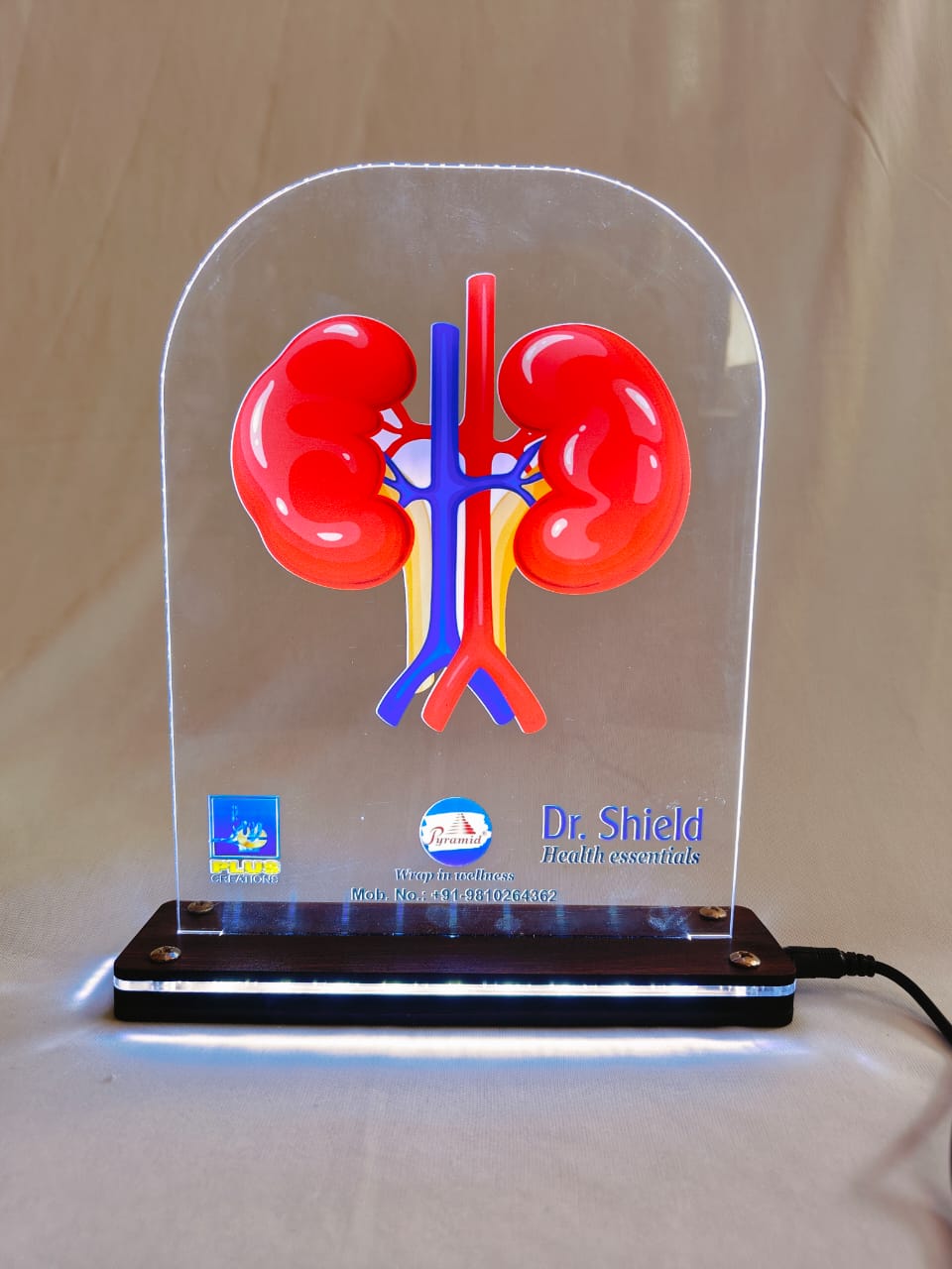 LED KIDNEY DR. SHIELD