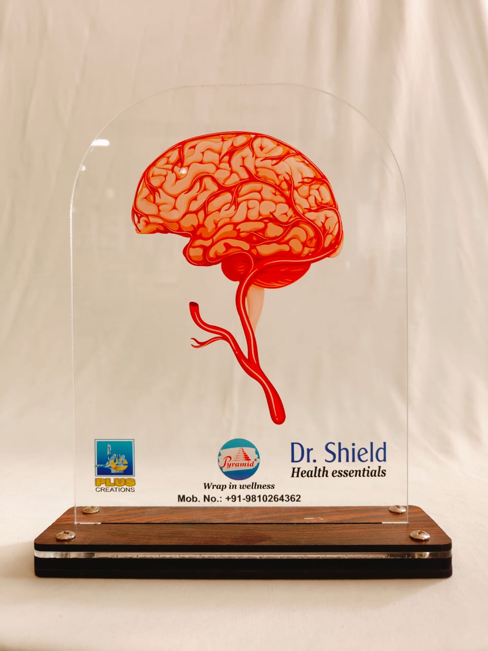 LED Brain Dr. Shield