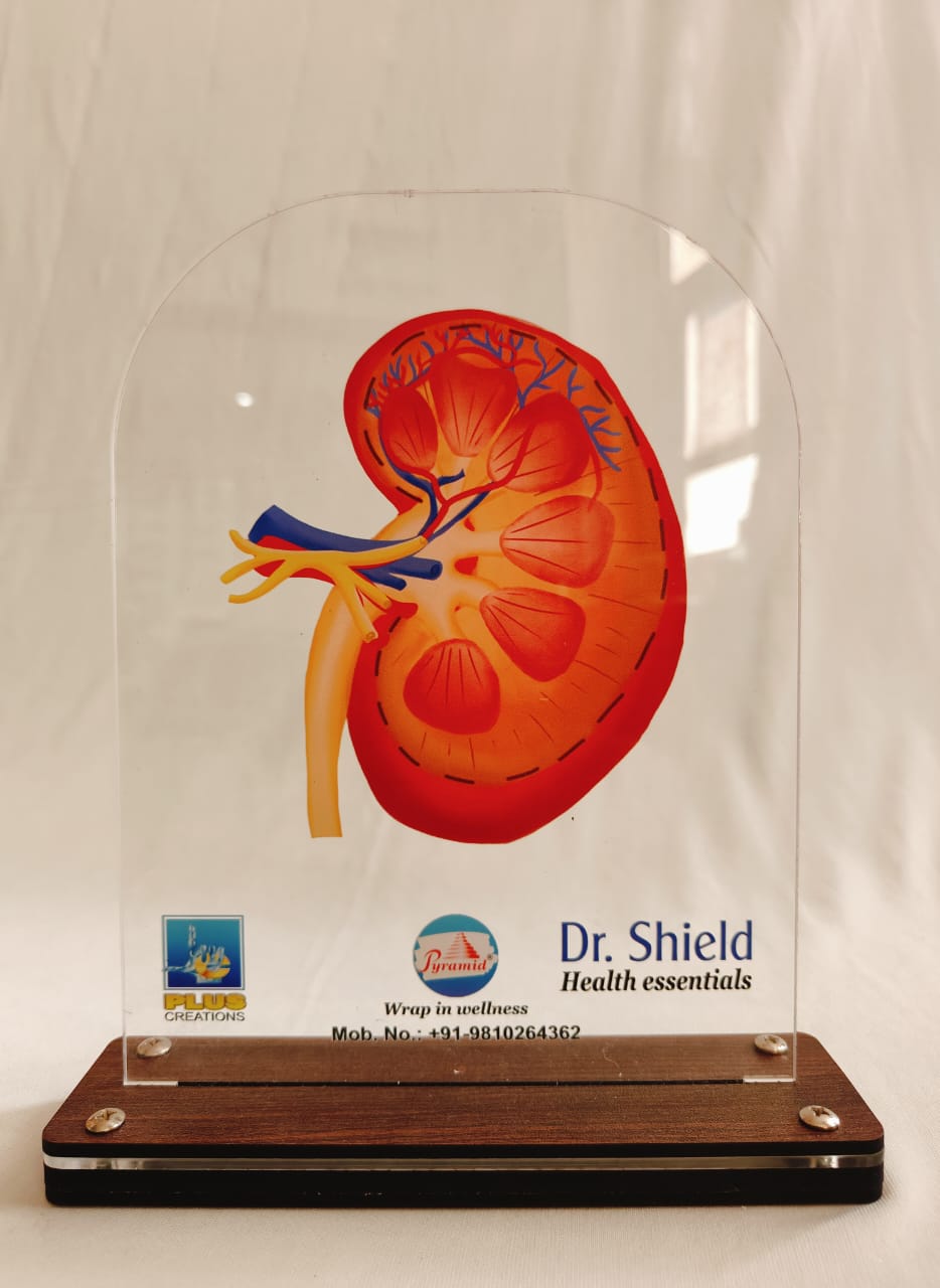 LED Single Kidney Dr. Shield