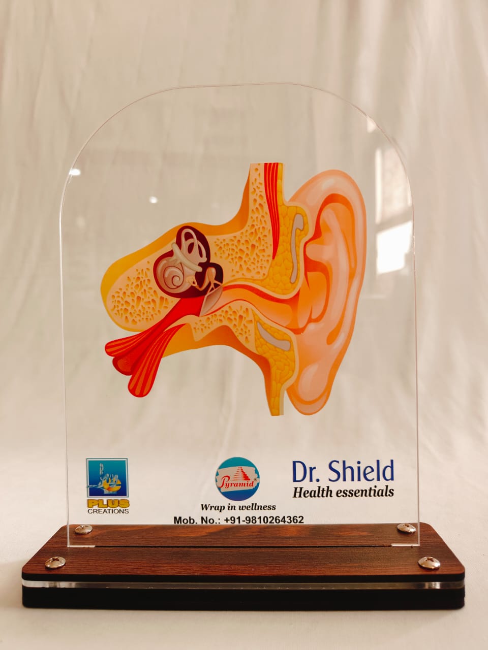 LED Ear Dr. Shield
