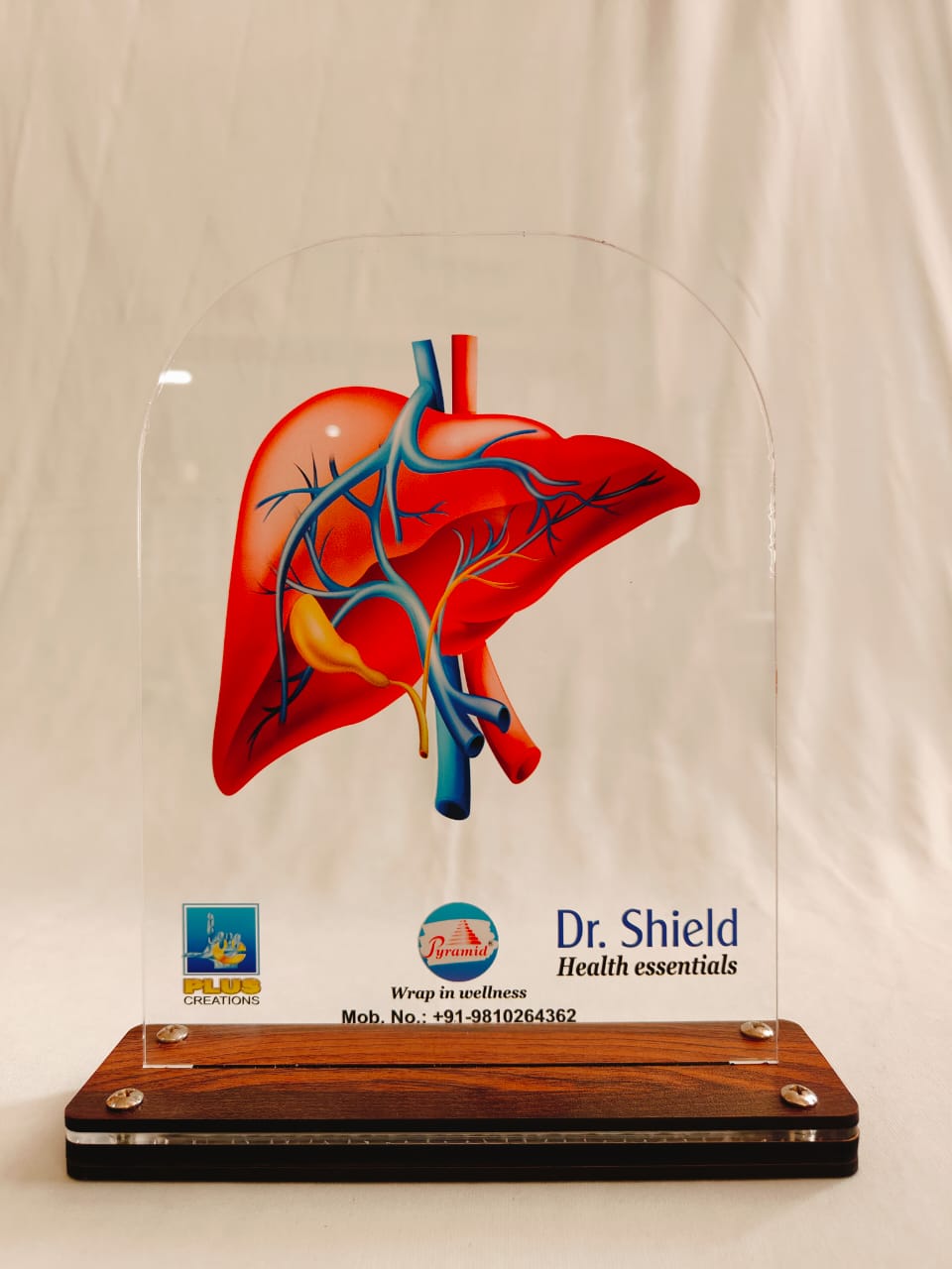 LED Liver Dr. SHIELD
