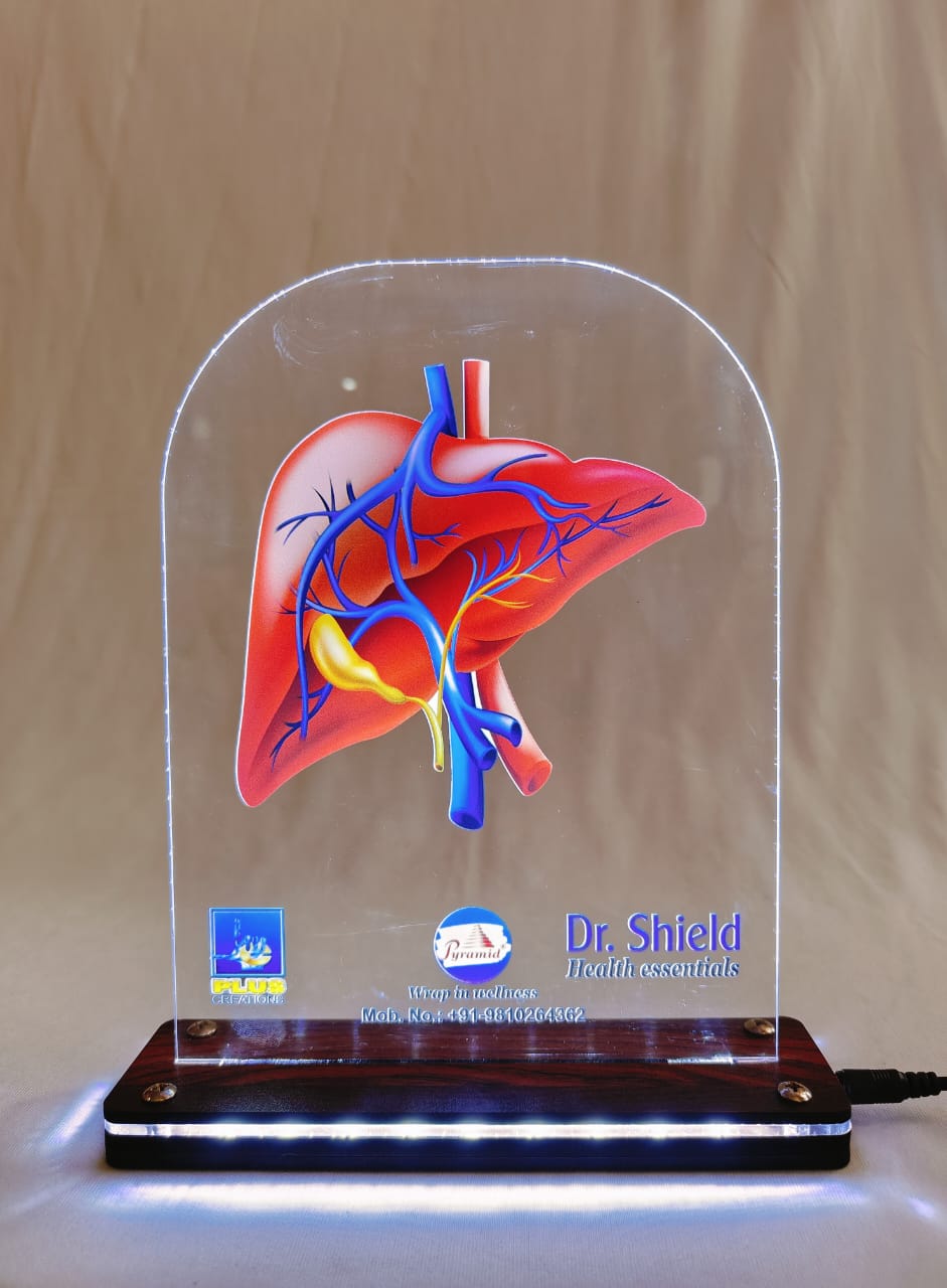 LED Liver Dr. SHIELD