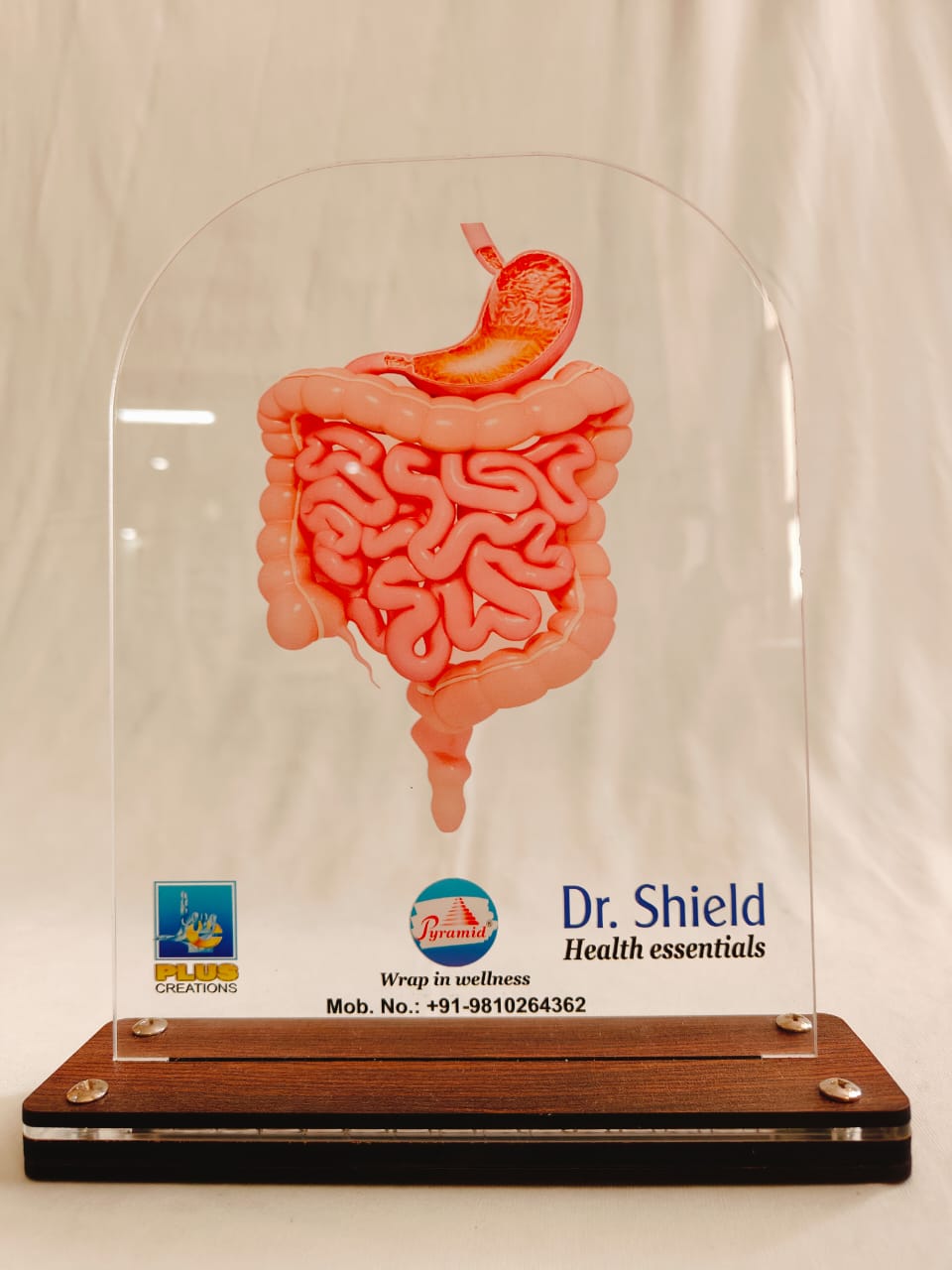 LED intestine Dr. SHIELD
