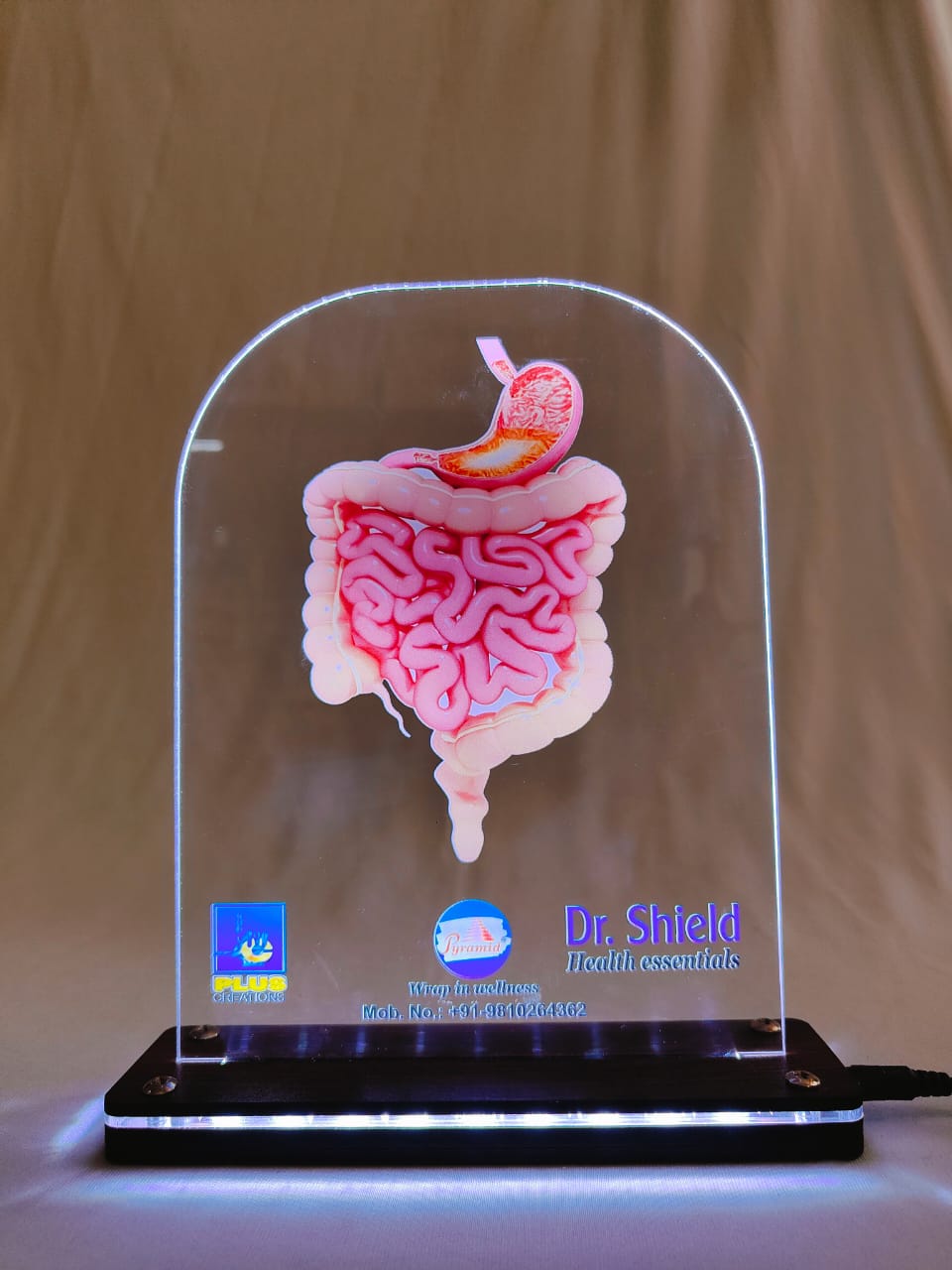 LED intestine Dr. SHIELD