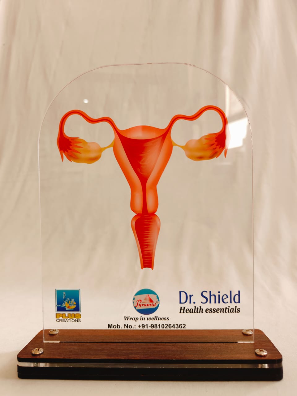 LED Female Reproductive Organ