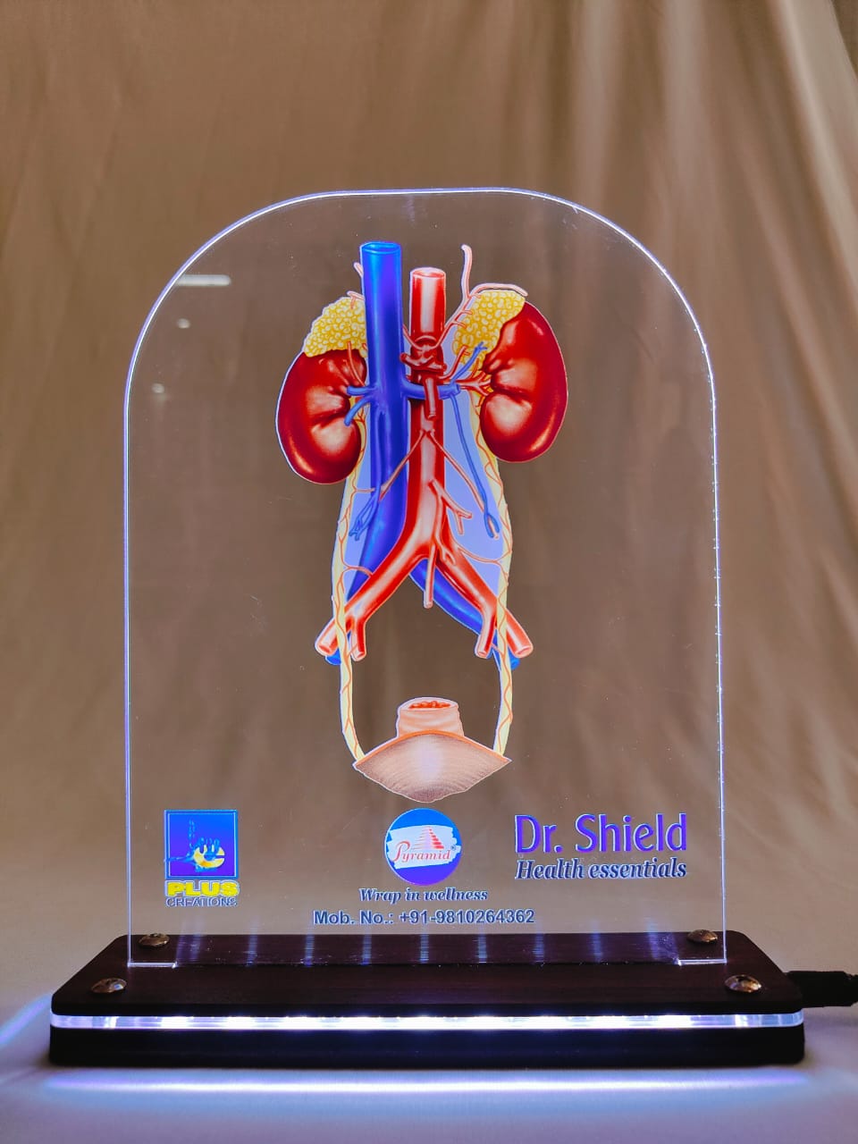 LED KIDNEY DR. SHIELD