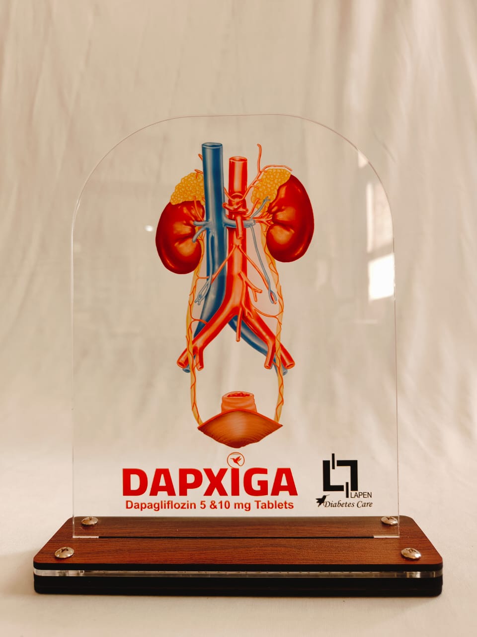 LED Kidney DAPIXGA