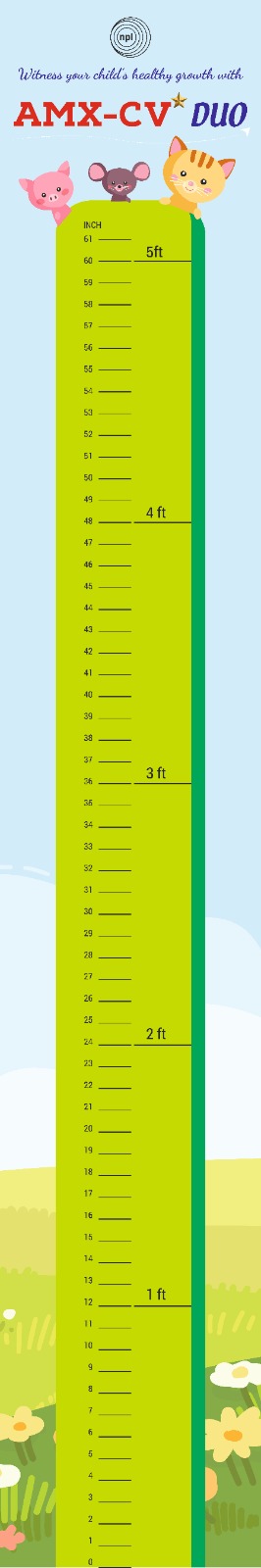 HEIGHT CHART