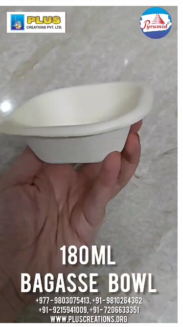 BAGASSE PLATES & BOWLS