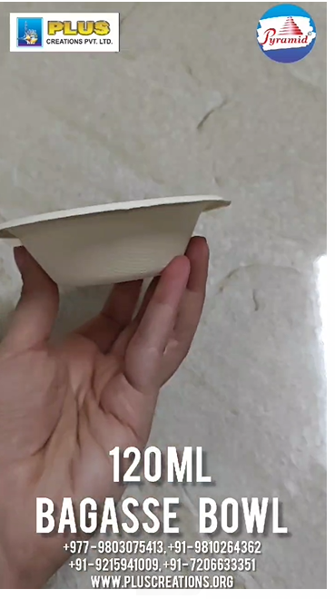 BAGASSE PLATES & BOWLS