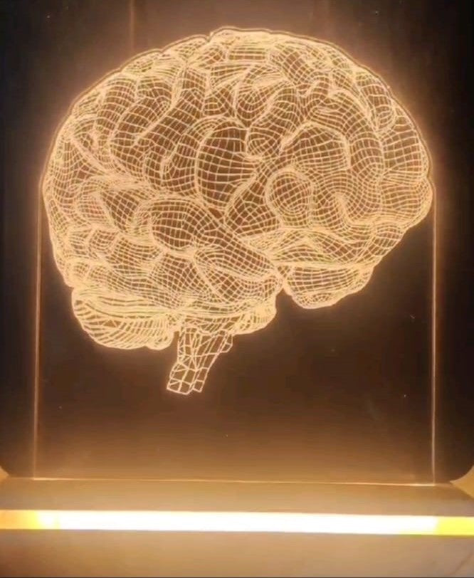 LED LIGHT WITH BOX & ADAPTER  (BRAIN SMALL SIZE 6.5" X 5")