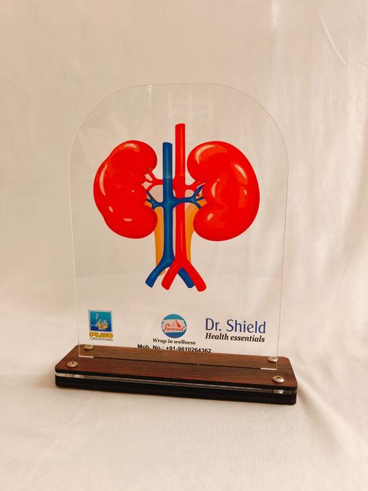LED KIDNEY DR. SHIELD