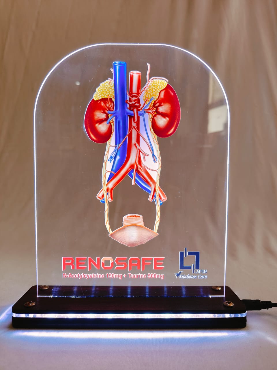 LED Kidney RENOSAFE