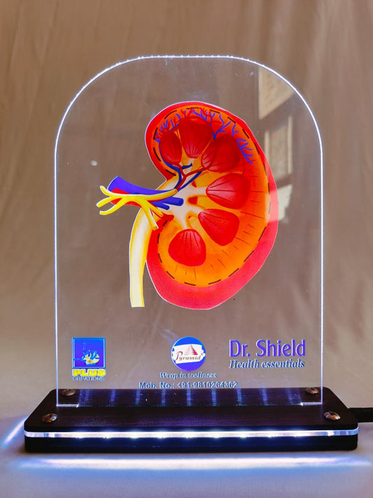 LED Single Kidney Dr. Shield