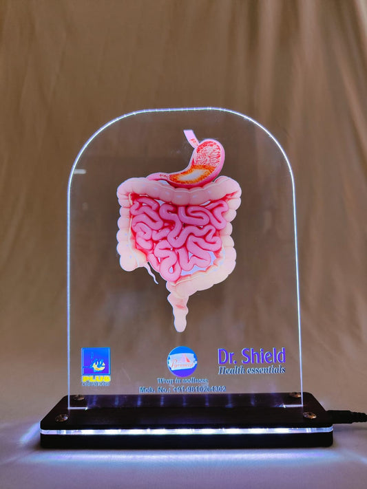 LED intestine Dr. SHIELD