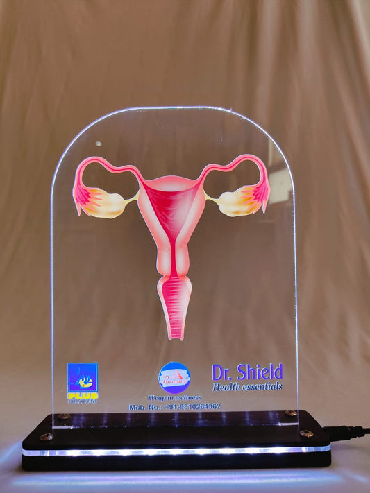 LED Female Reproductive Organ