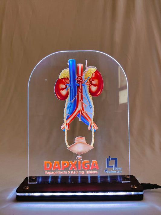 LED Kidney DAPIXGA