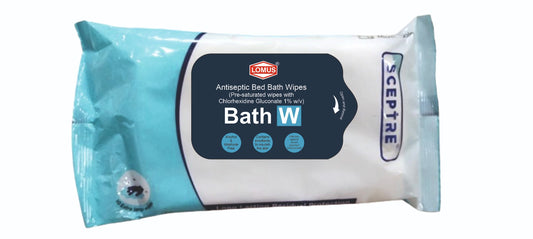 ANTISEPTIC BED BATH WIPES ( 10 EXTRA LARGE WIPES ) - 240 X 320MM